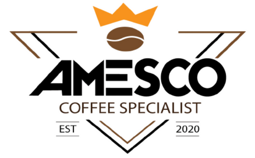 amesco logo